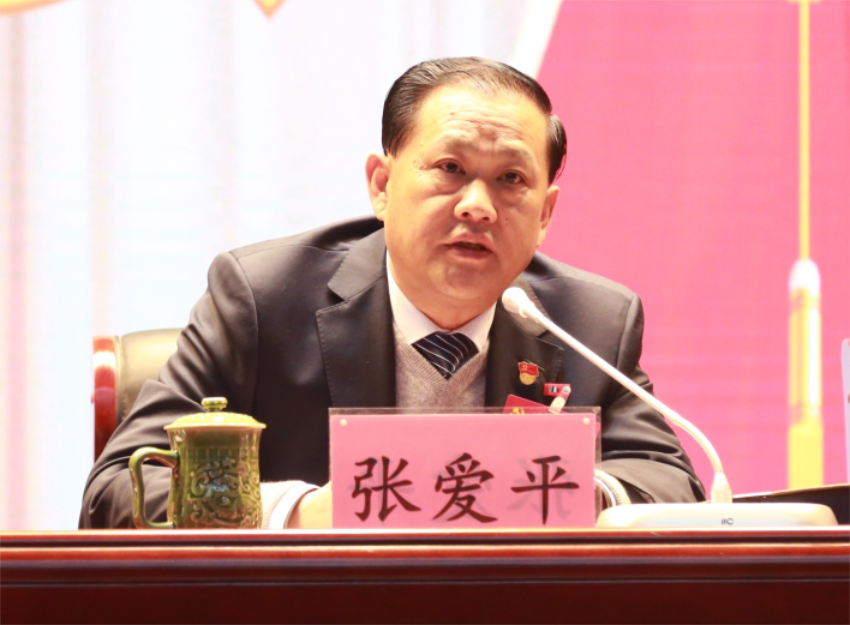 张爱平同志宣读中共乐鱼网页版登录入口第一届党委成员分工及纪委成员分工